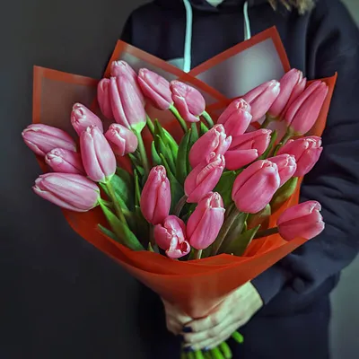 Созданные в Латвии сорта тюльпанов ценят даже в Нидерландах / Статья