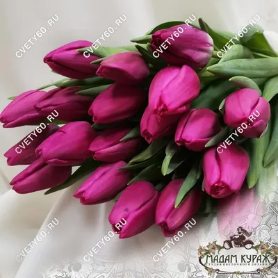 ⚜ Махровые тюльпаны: лучшие сорта! ⚜| GreenMarket