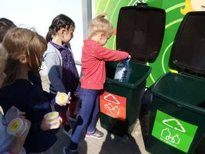 Учим детей сортировать мусор | Ромми и его друзья | Дзен