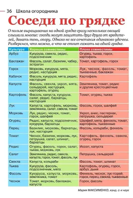 Соседи. На тропе войны, 2014 — описание, интересные факты — Кинопоиск