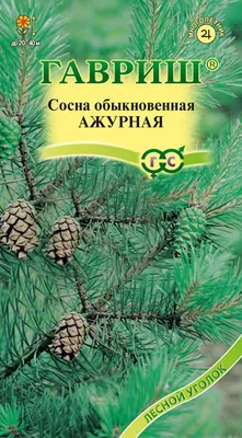 Саженцы, сосна обыкновенная (Pinus sylvestris), 10-15 см. купить с  доставкой по России, в Москву и СПб