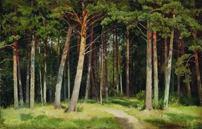Файл:Сосновый лес (Шишкин, 1889).jpg — Википедия