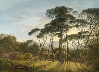 Картина Сосновый лес ᐉ Резванюк Мария ᐉ онлайн-галерея Molbert.
