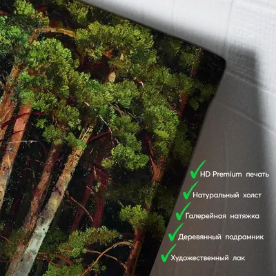 Сосновый лес :: Алексей (GraAl) – Социальная сеть ФотоКто