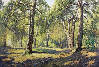 сосновый лес. красивый сосновый лес в эстонии Стоковое Фото - изображение  насчитывающей мох, бобра: 216006464
