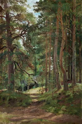 Сосновый лес, дорога в лесу Stock Photo | Adobe Stock