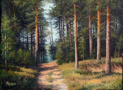 File:Сосновый лес (Шишкин).jpg - Wikimedia Commons