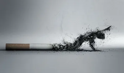 Социальная реклама ассоциации ADESF против курения