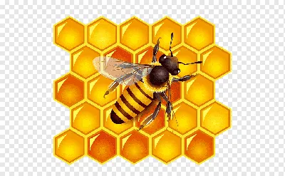Пчелиные соты крупным планом, пчёлы…» — создано в Шедевруме