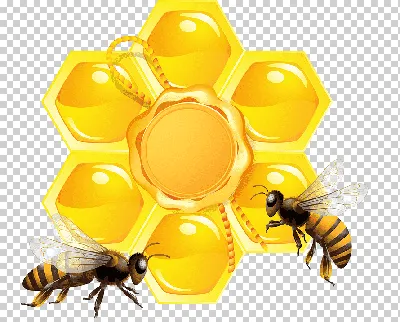 Медовые соты пчёлы дикий улей …» — создано в Шедевруме