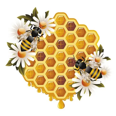 Соты и пчелы в улье :: Стоковая фотография :: Pixel-Shot Studio