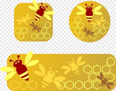 Соты строения пчелы стоковое изображение. изображение насчитывающей  создайтесь - 107587651