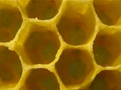 Силиконовый молд коврик \"Соты, пчелы\" , 13*17 см