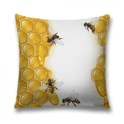 Соты пчелы насекомого Mead, пчела, медоносная пчела, насекомые png | PNGEgg
