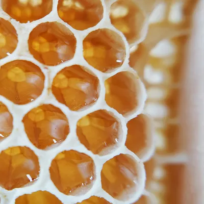 Многие Пчелы Полетели В Соты Пчеланасекомое Собирает Мед Rn — стоковые  фотографии и другие картинки Без людей - iStock