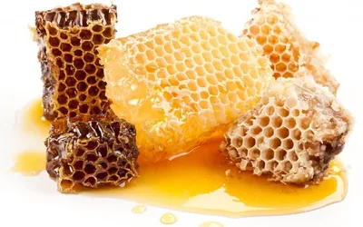 Медовые соты с пчелами Stock Vector | Adobe Stock