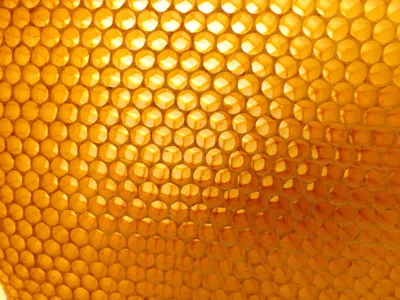 Пчелиные соты / Статьи — Математическая составляющая