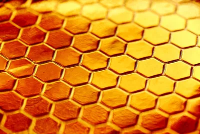 Пчелиные соты: свойства, польза, употребление | Блог medoveya.ru