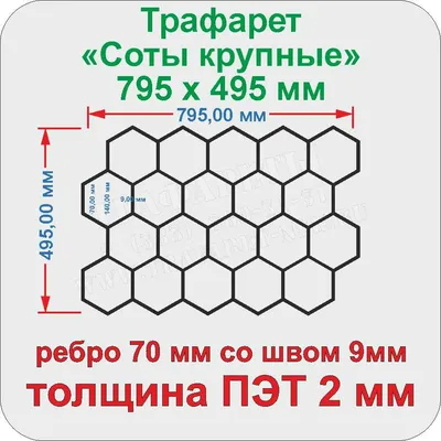 Зачем пчелы строят соты разного размера – ответ ученых