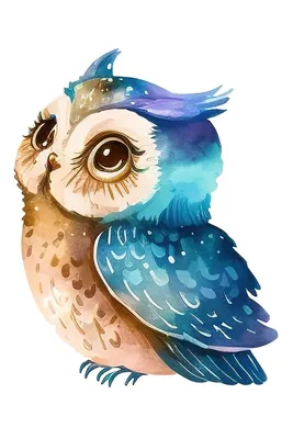 Owls. Совушки. PNG. | Плюшевая сова, Рисунки совы, Картины