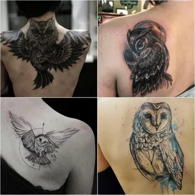 Тату Сова - Значение и Эскизы Татуировки с Совой | Tattoo-ideas.ru | Owl  tattoo sleeve, Owl tattoo, Tattoos for women