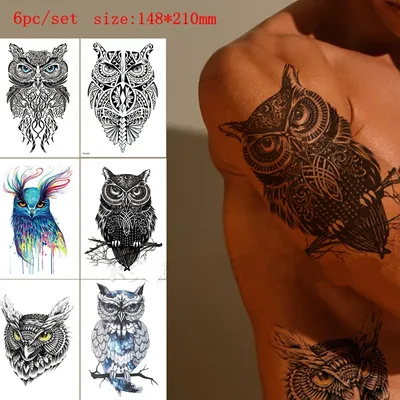 Татуировка мужская графика на груди сова - мастер Мария Котова 5748 | Art  of Pain