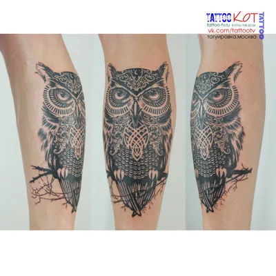 Тату сова значение, эскизы, примеры работ — pavuk.ink | Дизайн татуировки  совы, Татуировки с животными, Сова тату рисунки