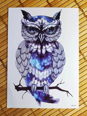Изображение живота. татуировка совы и…» — создано в Шедевруме
