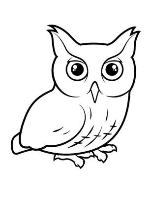 Owl Coloring Page, FREE Coloring Page Template Printing Printable OWL  Coloring Pages for Kids, OWL | Рисунок птиц, Раскраски, Рисунки совы