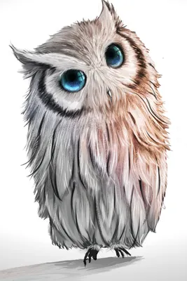 иллюстрация совы, нарисованная рукой для раскраски книги Иллюстрация  вектора - иллюстрации насчитывающей цвет, чернила: 247722647