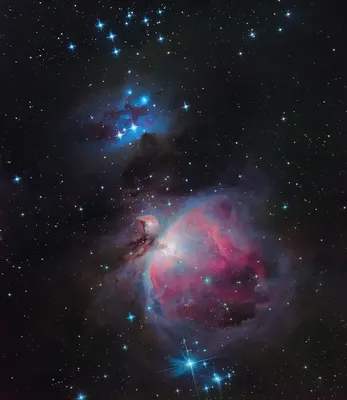 Август. Созвездие Ориона и Сириус возвращаются на звездное небо -  Любительская астрономия для начинающих