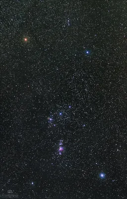 Сириус и созвездие Ориона — Фото №1356072