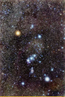 Созвездие Орион в ночном небе... | Пикабу