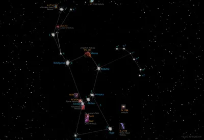 Созвездие Ориона в ночном небе Иллюстрация вектора - иллюстрации  насчитывающей волна, космос: 81988488