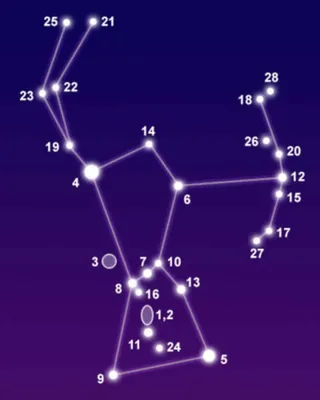 Созвездие Ориона Фотография, картинки, изображения и сток-фотография без  роялти. Image 25226675