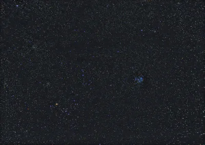 Созвездие Тельца В Ночном Звездном Небе Знак Зодиака Телец — стоковая  векторная графика и другие изображения на тему Телец - iStock