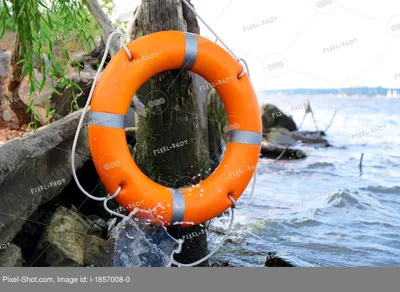 спасательный круг плавает в океане, картинка спасательный круг, жизнь,  хранитель фон картинки и Фото для бесплатной загрузки