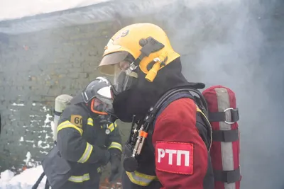 В Саратове пожарные спасли собаку из горящей многоэтажки — Регион 64