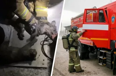 При пожаре в Пересвете пожарные спасли 4 человека | Новости | Телеканал  ТВР24 | Сергиев Посад