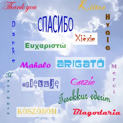 Как слово \"спасибо\" звучит в разных странах мира: интересная подборка -  Новости Украины и мира - Lifestyle 24