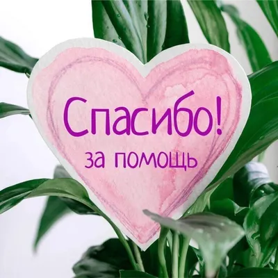 Светлана Сираниди - Доброта души, солнышко в душе, добрые слова, спасибо  всем!!! | Facebook