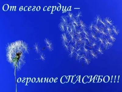 Творчество с безграничными возможностями! СЕРДЕЧНОЕ СПАСИБО! СБОР ЗАКРЫТ!!!