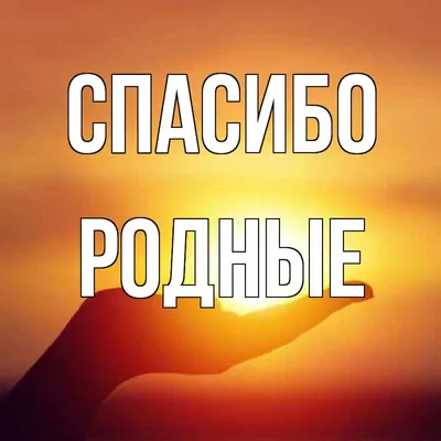 спасибо ♥️💫🌹🌹🌹#родная #спасибочтотыесть #розы #длятебя | TikTok