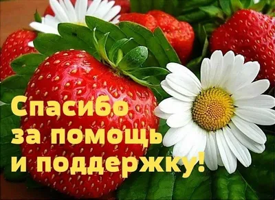 Слова благодарности: как выразить устно и письменно