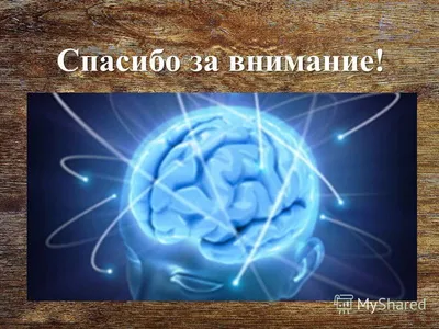 Ответы Mail.ru: Как по-английски \"Спасибо за внимание\"?! Эта запись будет  последним слайдом в презентации по английскому языку!!!