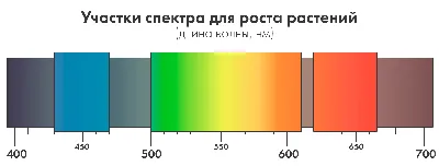 №58 \"Виды излучений. Спектры. Виды спектров\" - YouTube