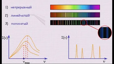 Рис. 24(бот-ка). Спектры поглощения хлорофиллов и бета-каротина