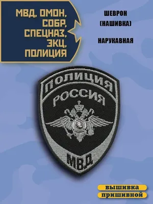 Теперь русский спецназ защищает и Америку в GTA V