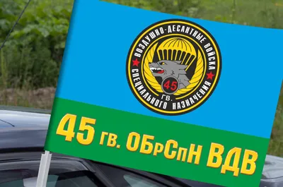 В Казахстан направлен спецназ 76-й дивизии ВДВ России