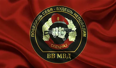 Российские военные ликвидировали командира украинского спецназа - Газета.Ru  | Новости